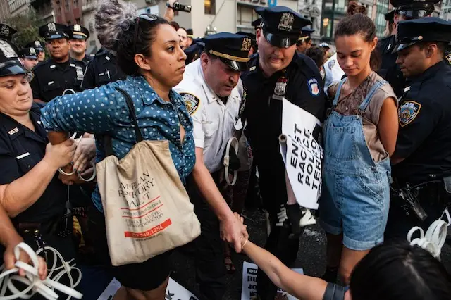 Black Lives Matter protesters are arrested on July 22, 2015